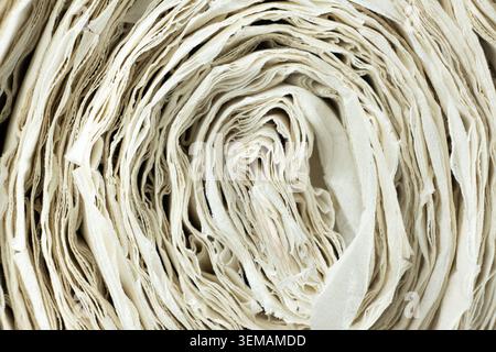 Macro texture of white recycled paper spiral Stock Photo