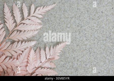 Minimalist Scandinavian and Boho style close-up view with a pink fern branch on a grey sand textured background. Stock Photo