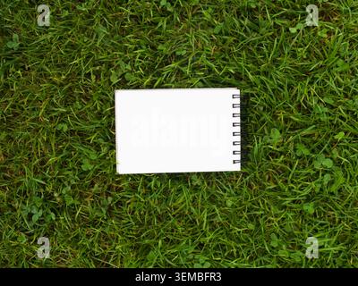 Top view of open blank spiral notebooks on green grass background, surrounded by sketching markers, drawing pencils and artist supplies. Stock Photo