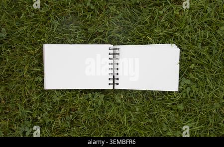 Top view of open blank spiral notebooks on green grass background, surrounded by sketching markers, drawing pencils and artist supplies. Stock Photo