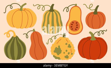 Autumn pumpkin and gourd collection vector illustration in flat style. Organic harvest vegetables isolated for fall festival designs, Thanksgiving Stock Vector