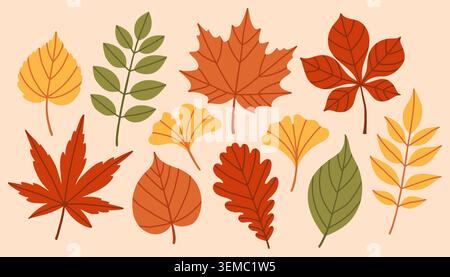 Cozy autumn leaf collection vector illustration with various shapes and warm fall colors. Flat isolated foliage elements for Thanksgiving greeting Stock Vector