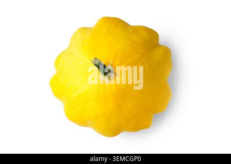 Fresh organic yellow pattypan, patisson squash isolated on white background. Close up summer vegetable with scalloped shape and vibrant color. Harvest Stock Photo