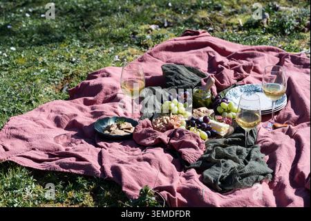 Cozy outdoor picnic setup on soft blankets in sunny grass, featuring grapes, crackers, cheese, and glasses of white wine, with plates and relaxed summ Stock Photo
