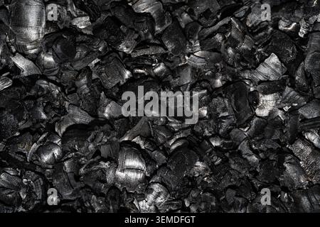 Close-up of intricately textured charcoal pieces, showcasing deep black hues and organic forms. The natural setting enhances the raw, earthy appeal of Stock Photo