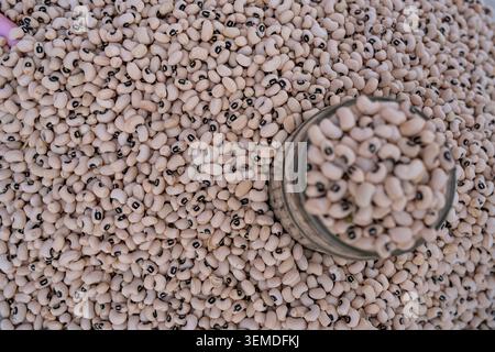 Top view closeup of dried black-eyed peas spread as a textured background, with a small glass jar used as a scoop, highlighting pantry staples and pla Stock Photo