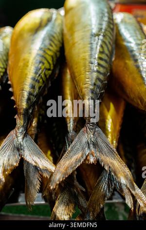 Close-up of smoked mackerel stacked tail-first at a traditional Uzbekistan market stall, highlighting golden skin and texture, a popular Asian street Stock Photo