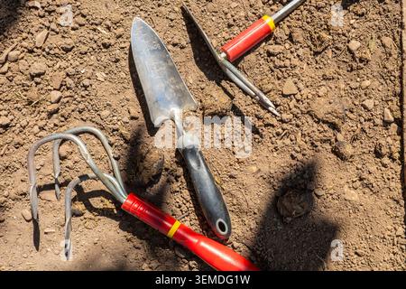 Close-up of garden tools on dry soil, including hand trowel, cultivator and hoe, prepared for planting, weeding and bed preparation in a sunny backyar Stock Photo