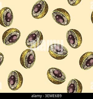 pattern ripe longan fruit sketch hand drawn Stock Vector