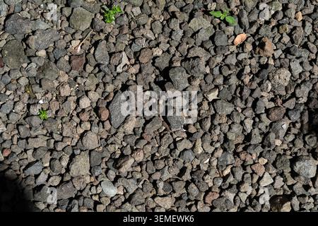 Small pebbles beach or river stones. Seamless texture background. Graphic resource material Stock Photo