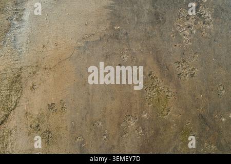 Abstract old wall texture grunge rough stone grainy background. Graphic resource material Stock Photo