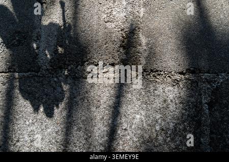 Abstract old wall texture with hard light of tropical tree leaf shadow, grunge rough stone grainy background. Graphic resource material Stock Photo