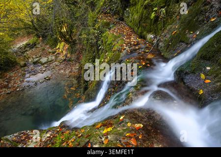 Autumn waterfall cascading over moss-covered rocks with silky long-exposure water and scattered leaves, overhead view of a forest stream. Stock Photo