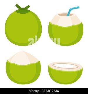 Fresh coconut water drink drawing set. Young green coconut whole and cut, with drinking straw. Isolated cartoon vector clipart illustration. Stock Vector
