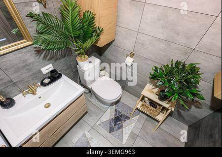 High-angle shot of a modern bathroom with grey tiles, a white toilet and sink, wooden cabinets, and plants. Stock Photo