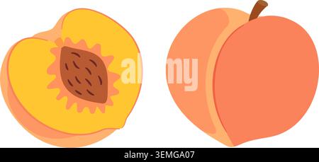 Flat style illustration of whole fresh peach and cut half with seed pit. Hand drawn trendy flat style isolated. For stickers, menus, posters, healthy food designs, market packaging, and kitchen decor. Stock Vector