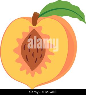 Fresh peach half with seed pit and green leaf. Hand drawn trendy flat style isolated. Colorful decorative vector element for menus, posters, food packaging, recipe blogs, summer patterns, stickers. Stock Vector