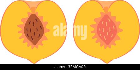 Тwo peach halves cut in heart shape with pit. Hand drawn trendy flat style isolated. For stickers, menus, posters, food packaging, recipe blogs, organic branding, kitchen decor, designs. Stock Vector