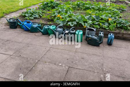 A row of colourful watering cans lined up beside leafy plants in a community allotment, capturing everyday gardening tools and allotment life Stock Photo