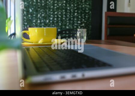 Laptop with blank screen, yellow coffee cup on wooden table in cozy workspace with natural light and green plants — home office morning Stock Photo