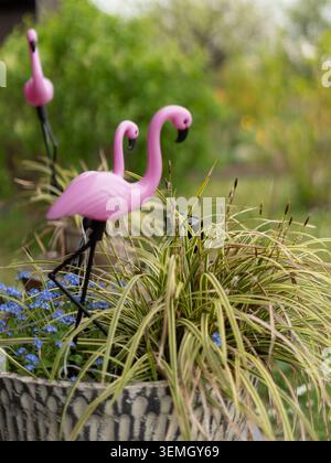 Garden decoration featuring pink flamingo ornaments among ornamental grasses Stock Photo