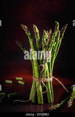 Standing Asparagus Bundle with Twine and Cut Ends Stock Photo