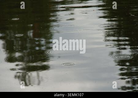 Ripples on the water from falling raindrops, creating an abstract pattern. High quality photo Stock Photo