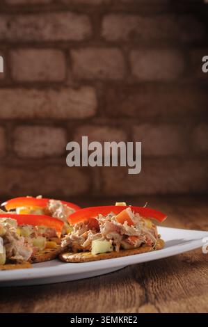 Tuna tapas with cucumber, mayonnaise and avocado with a strip of red pepper, placed on a white plate, with brick walls in the background, copy sapce. Stock Photo