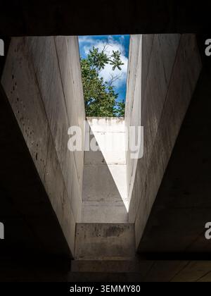 Minimal concrete architecture with geometric skylight opening revealing blue sky and green tree. Modern brutalist design featuring natural light, shad Stock Photo