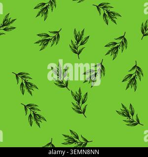 pattern bay leaf herb sketch hand drawn Stock Vector