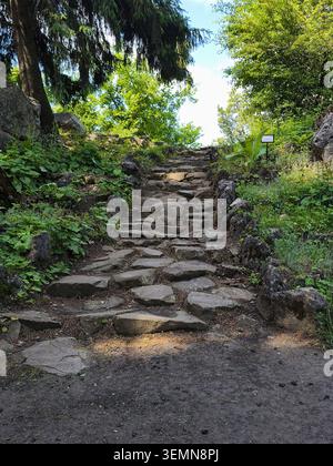 Old stone steps covered in moss leading up through a lush green forest. Scenic pathway in nature with beautiful sunlight filtering through trees. Stock Photo