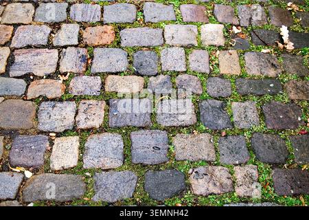 Ancient stones with small grass growing between them outdoors. Paving stone top view Stock Photo