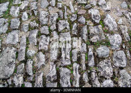 Ancient stones with small grass growing between them outdoors. Selective focus Stock Photo