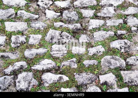 Ancient stones with small grass growing between them outdoors. Paving stone top view Stock Photo