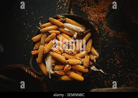 Rustic autumn corn harvest in wicker basket with dried maize cobs for farm pantry and decor. top view Stock Photo