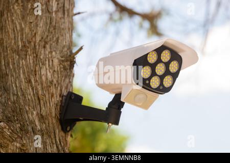 LED security light with motion sensor shaped like surveillance camera mounted on tree outdoors, safety technology concept, selective focus Stock Photo