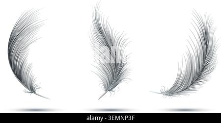 Flying realistic bird feathers Stock Vector