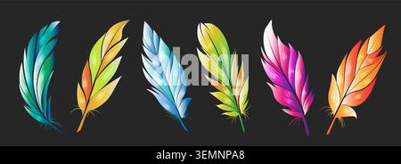 Colorful bird feathers on black Stock Vector
