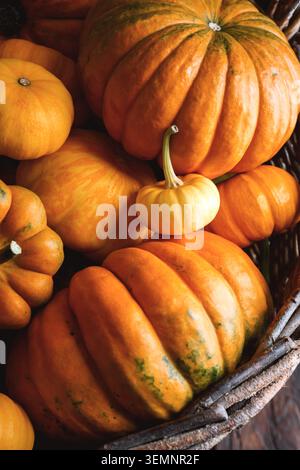 Close up of assorted pumpkins packed tightly inside rustic wicker basket. Seasonal harvest texture with squash and warm fall palette Stock Photo