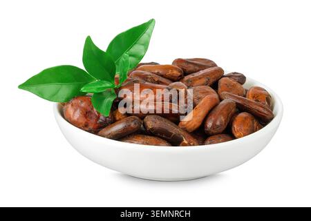 cocoa beans in ceramic bowl isolated on white background. Stock Photo