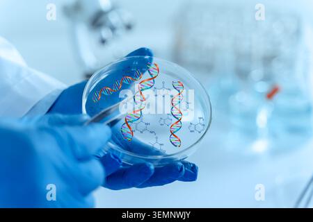 Close-up of a researcher examining DNA graphics in a petri dish, representing genetic testing, molecular biology, biotechnology research and clinical Stock Photo