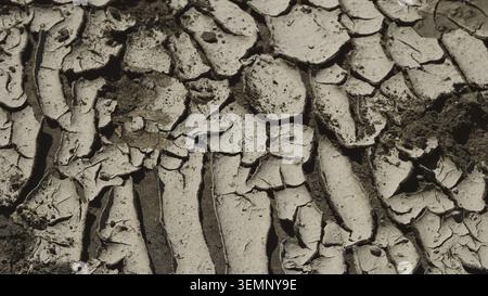 Cracked dry earth texture from a parched ground surface during a hot summer day. Stock Photo
