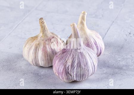 Three whole garlic bulbs with purple striped skins arranged on light gray textured stone background Stock Photo