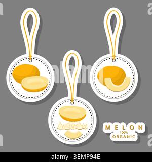 Illustration on fruit theme from set juicy delicious melon of various sizes, fruit melon consisting of juicy organic food, collection melon in juicy f Stock Vector