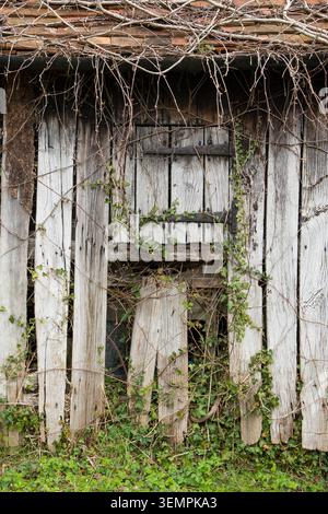 detail of doors and window with rusty hinges on old derelict abandoned wooden stable with attractively split, knotted and grainy old weathered wood Stock Photo