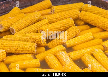 Bright yellow corn cobs with tightly packed plump kernels showcasing fresh and juicy texture arranged naturally on a reflective metallic surface enhan Stock Photo