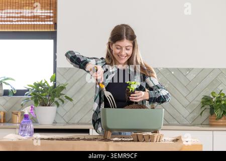 Female potting seedling on kitchen counter using hand fork with green planter in plaid shirt Stock Photo