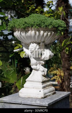 Antique amphora with a plant. Stock Photo