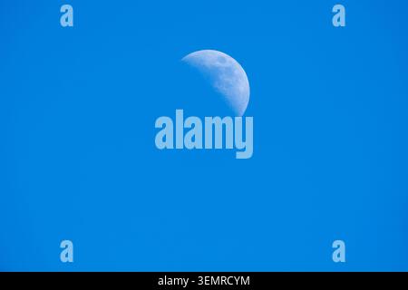Half moon with crater detail in clear cobalt blue daytime sky, minimalist composition, no other elements Stock Photo
