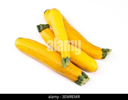 Yellow zucchini on white background. They are also called golden zucchini squash. Stock Photo